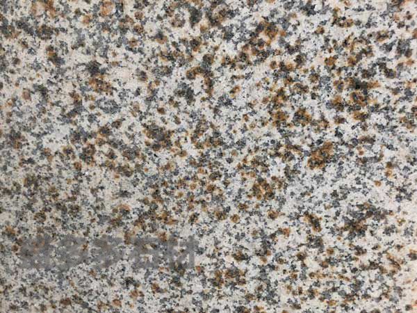 黃繡石(shí)荔枝面