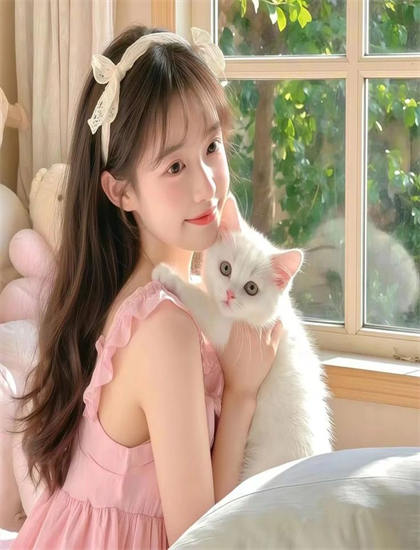 好像一条狗和其他作品相比如何？对比分析与评价